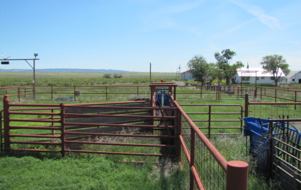 Wineteer Ranch