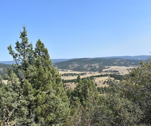 80 Acres Homestead Road