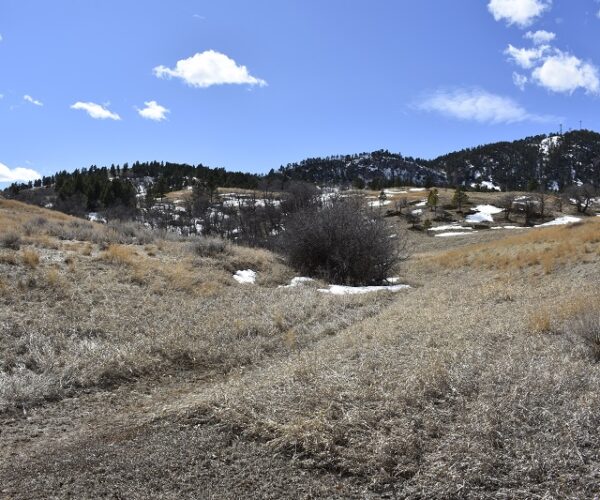 10.85 acres – Sundance Mountain Road