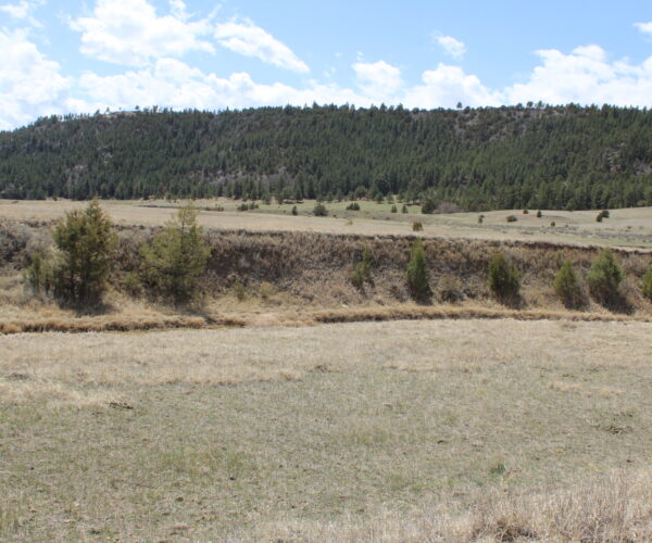 28  FOX  DRAW  ROAD