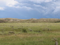 Tract 2 Fairgrounds County Road